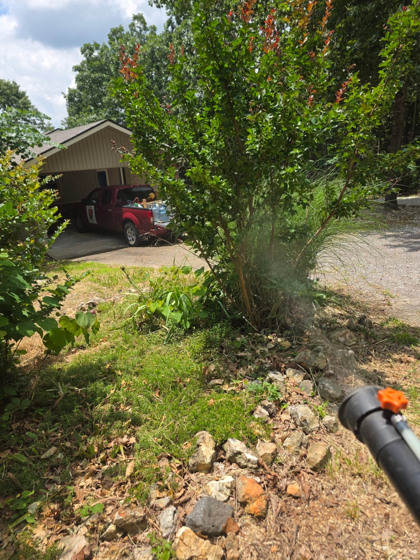 mosquito fogging in bella vista ar.jpg