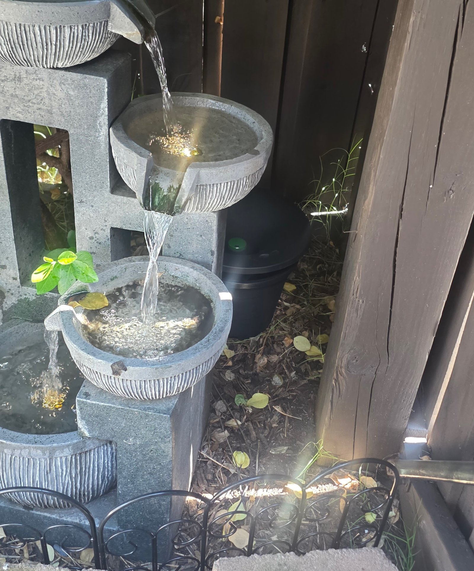in2care mosquito bucket in springdale ar