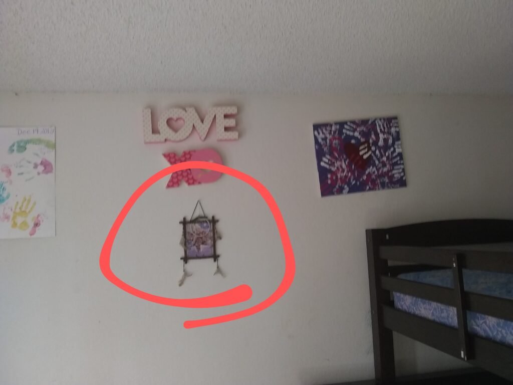 bedbug eggs on artwork left on wall springdale ar.jpg
