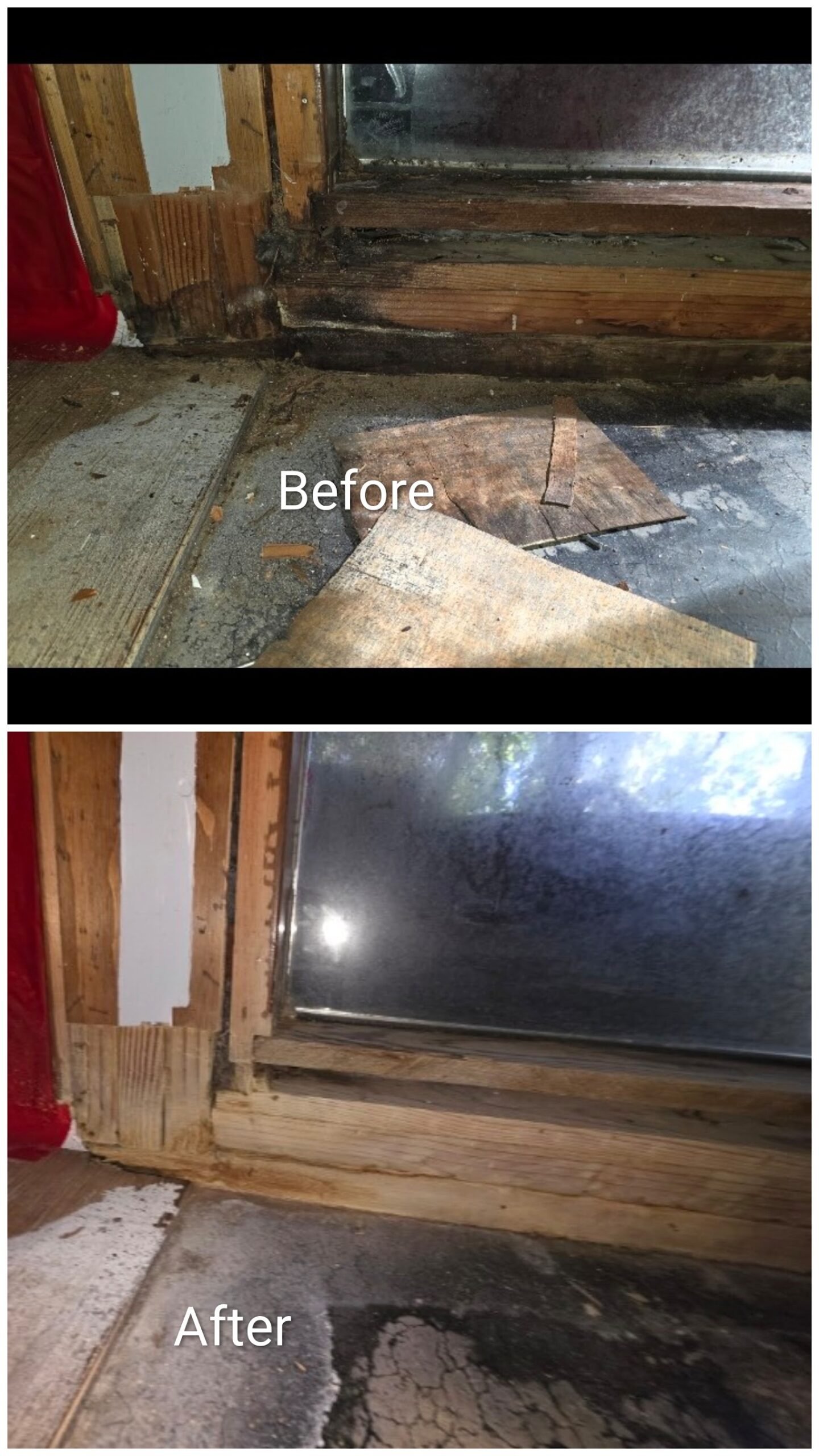 before after mold remediation rogers ar jpg
