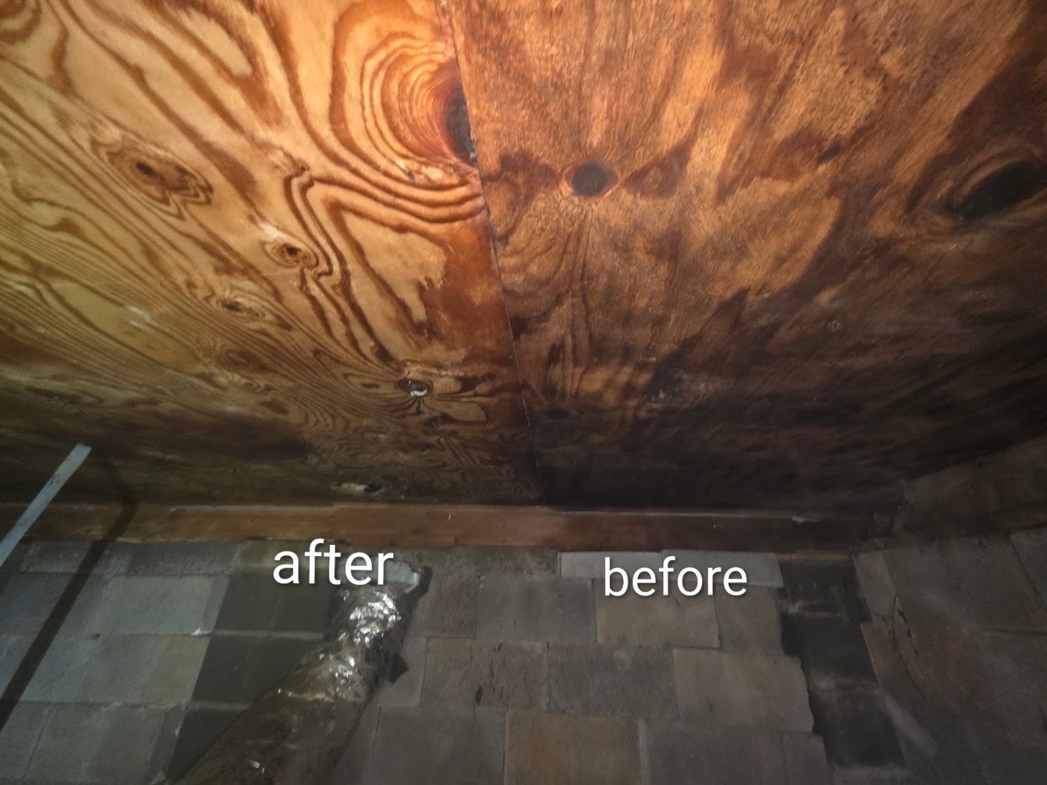 side by side mold remediation springdale ar