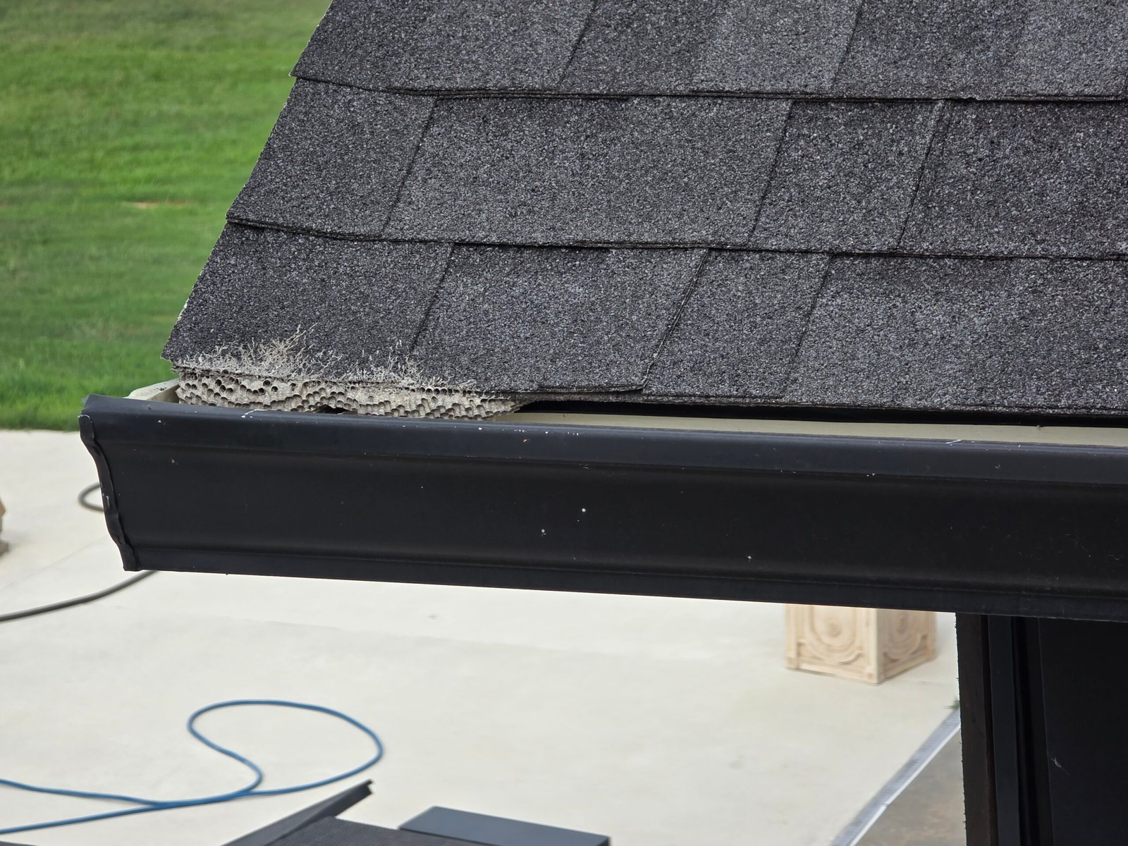 wasp nest under roof shingle elm springs ar.jpg